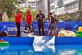 Swim_City   012